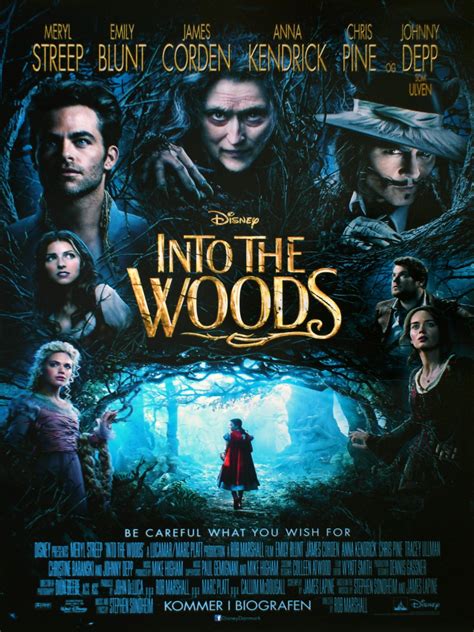 watch Into the Woods